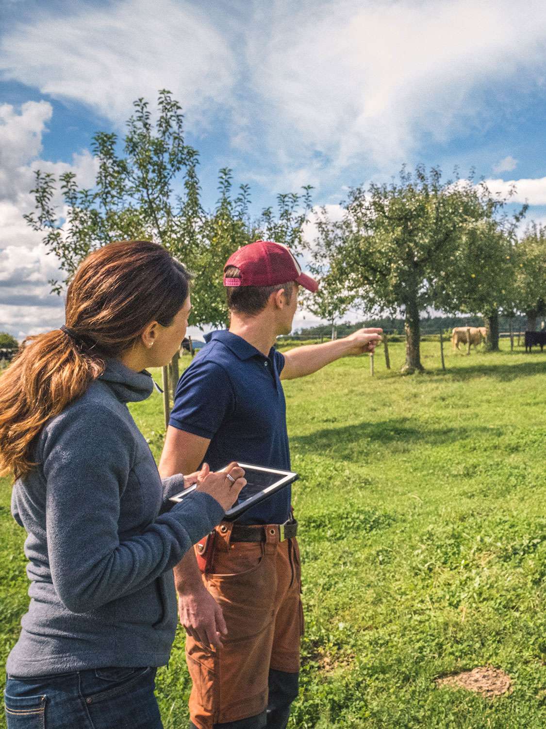 Die Landwirtschaft digitalisieren