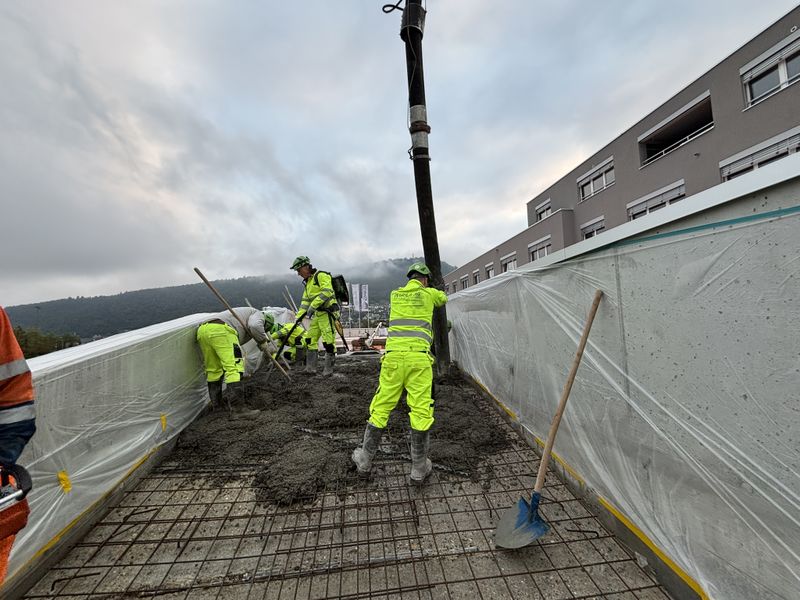 Bild der Bildergalerie