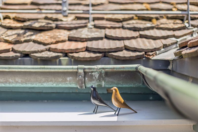 Old Town Penthouse with Rooftop Terrace Glockengasse 8