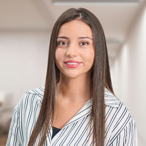 Idil Mermer