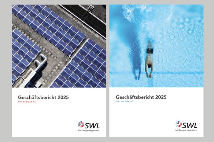 Geschäftsbericht 2025