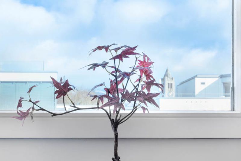 Kreuzplatz Grand Residence Kreuzplatz 2