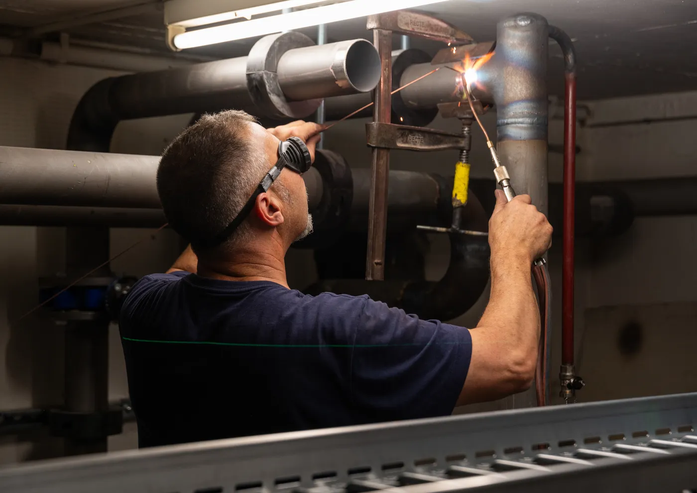 Nachhaltiger Schritt in die Zukunft