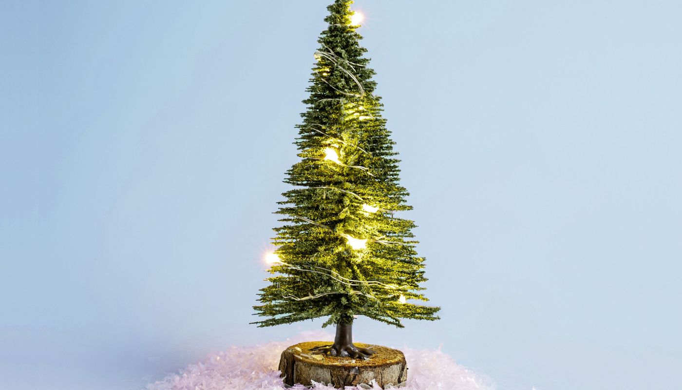 Oh Tannenbaum, was weiss ich über dich?