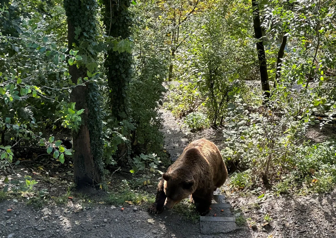 Gipfel, Teamgeist und Taktik