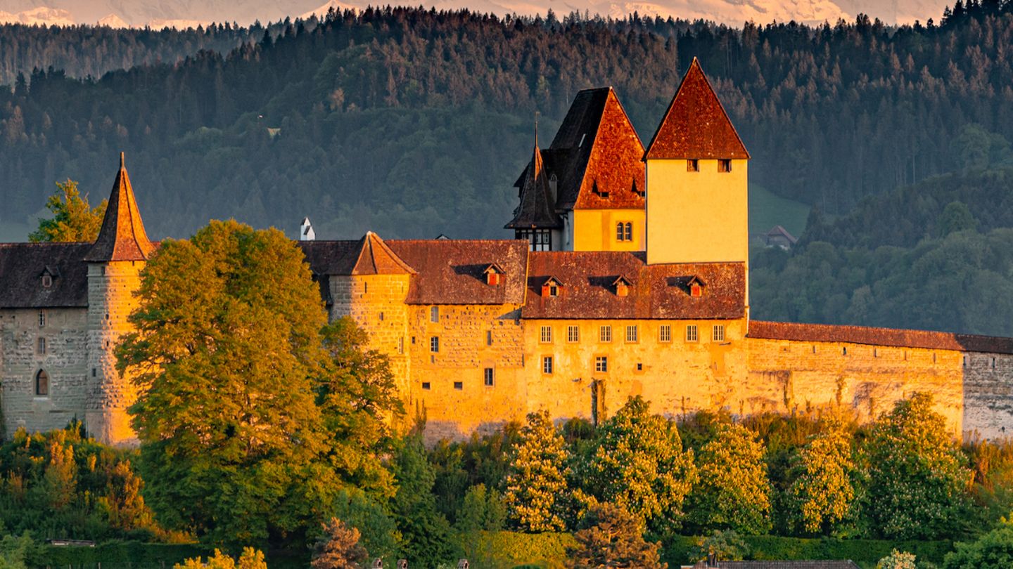 Hallo, ich bin Dr. iur. Markus Meyer