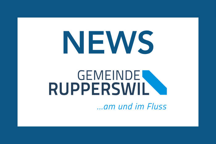 Möglicher Zusammenschluss von Elektrizitätswerken wird geprüft