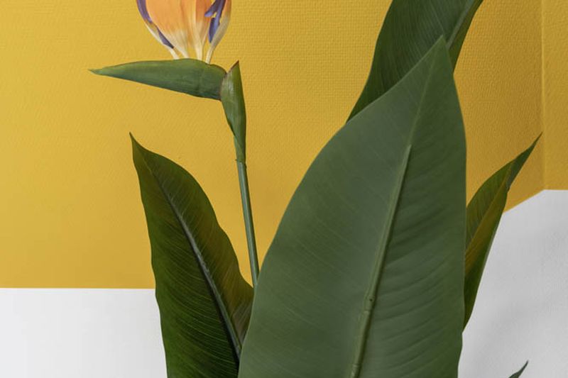 Kreuzplatz Grand Residence Kreuzplatz 2